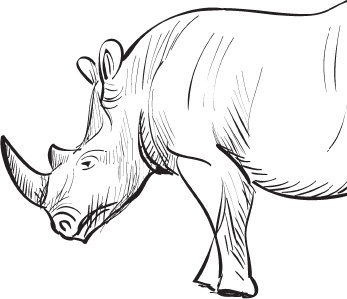 Иллюстрация к книге — Беспризорная кошка (сборник). С вопросами и ответами для почемучек [_63.jpg]