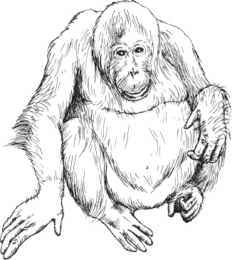 Иллюстрация к книге — Беспризорная кошка (сборник). С вопросами и ответами для почемучек [_64.jpg]