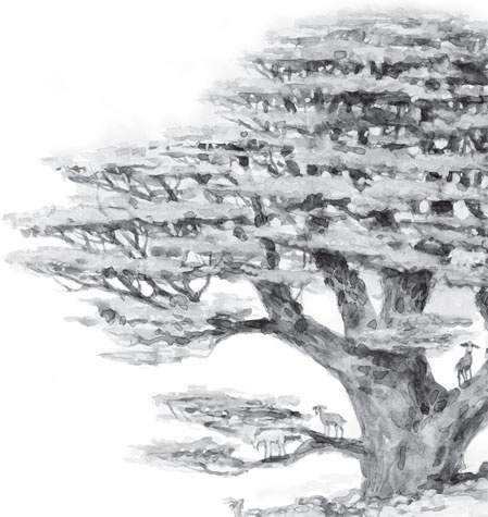 Иллюстрация к книге — Беспризорная кошка (сборник). С вопросами и ответами для почемучек [_65.jpg]