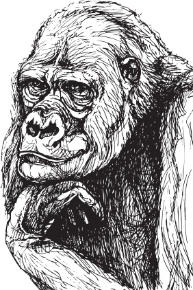 Иллюстрация к книге — Беспризорная кошка (сборник). С вопросами и ответами для почемучек [_66.jpg]