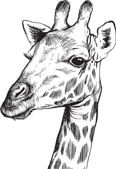 Иллюстрация к книге — Беспризорная кошка (сборник). С вопросами и ответами для почемучек [_72.jpg]