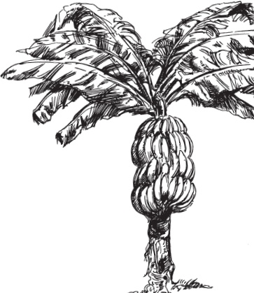 Иллюстрация к книге — Беспризорная кошка (сборник). С вопросами и ответами для почемучек [_73.jpg]