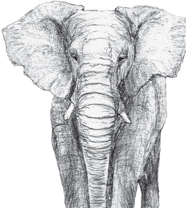 Иллюстрация к книге — Беспризорная кошка (сборник). С вопросами и ответами для почемучек [_75.jpg]