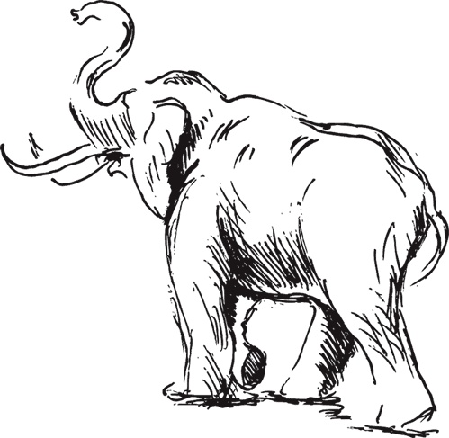 Иллюстрация к книге — Беспризорная кошка (сборник). С вопросами и ответами для почемучек [_76.jpg]