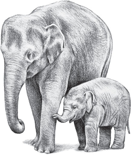 Иллюстрация к книге — Беспризорная кошка (сборник). С вопросами и ответами для почемучек [_78.jpg]