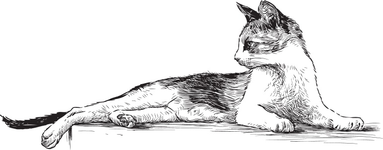 Иллюстрация к книге — Беспризорная кошка (сборник). С вопросами и ответами для почемучек [_97.jpg]