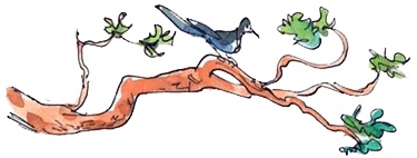 Иллюстрация к книге — Папа, мама, бабушка и восемь детей в деревне, или Маленький подарок Антона [i_099.jpg]