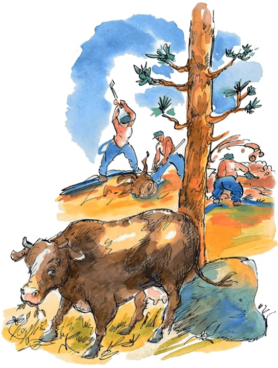 Иллюстрация к книге — Папа, мама, бабушка и восемь детей в деревне, или Маленький подарок Антона [i_123.jpg]