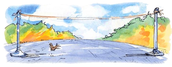 Иллюстрация к книге — Папа, мама, бабушка и восемь детей в деревне, или Маленький подарок Антона [i_159.jpg]