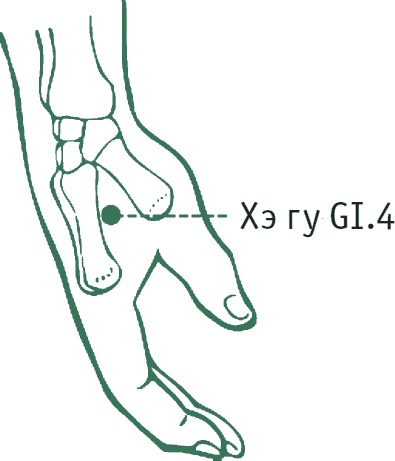 Иллюстрация к книге — Лестница в небо, или Китайская медицина по-русски [i_002.jpg]