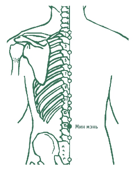 Иллюстрация к книге — Лестница в небо, или Китайская медицина по-русски [i_006.jpg]