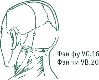 Иллюстрация к книге — Лестница в небо, или Китайская медицина по-русски [i_010.jpg]