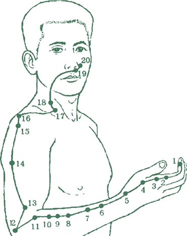 Иллюстрация к книге — Лестница в небо, или Китайская медицина по-русски [i_013.jpg]