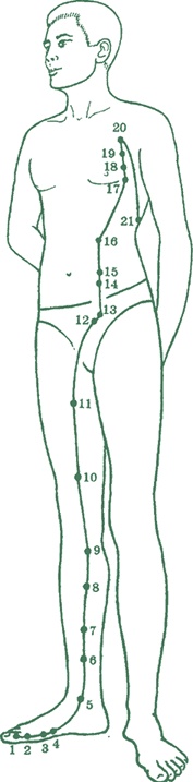 Иллюстрация к книге — Лестница в небо, или Китайская медицина по-русски [i_015.jpg]