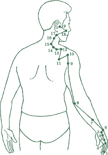 Иллюстрация к книге — Лестница в небо, или Китайская медицина по-русски [i_017.jpg]
