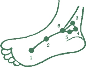 Иллюстрация к книге — Лестница в небо, или Китайская медицина по-русски [i_020.jpg]