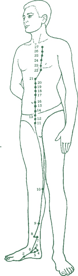 Иллюстрация к книге — Лестница в небо, или Китайская медицина по-русски [i_021.jpg]