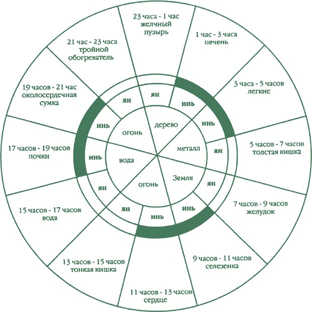 Иллюстрация к книге — Лестница в небо, или Китайская медицина по-русски [i_027.jpg]