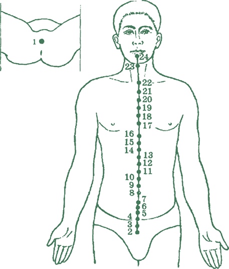 Иллюстрация к книге — Лестница в небо, или Китайская медицина по-русски [i_028.jpg]