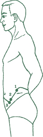 Иллюстрация к книге — Лестница в небо, или Китайская медицина по-русски [i_032.jpg]