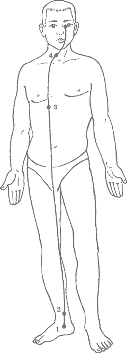 Иллюстрация к книге — Лестница в небо, или Китайская медицина по-русски [i_033.jpg]