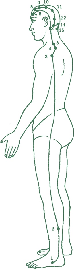 Иллюстрация к книге — Лестница в небо, или Китайская медицина по-русски [i_036.jpg]