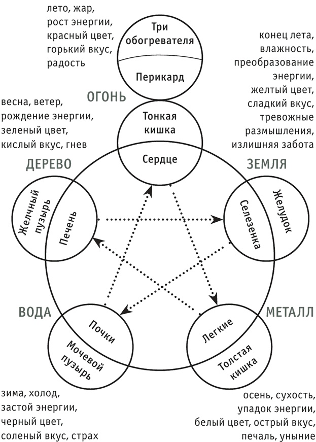 Иллюстрация к книге — Лестница в небо, или Китайская медицина по-русски [i_037.jpg]