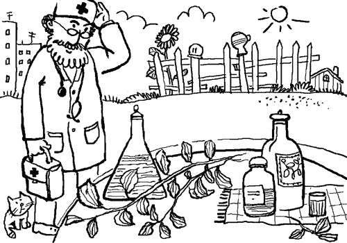 Иллюстрация к книге — Стевия - шаг в бессмертие [i_005.jpg]