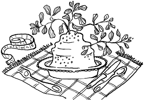 Иллюстрация к книге — Стевия - шаг в бессмертие [i_007.jpg]