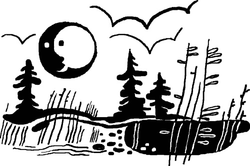 Иллюстрация к книге — Сабельник - болотный целитель [i_003.jpg]