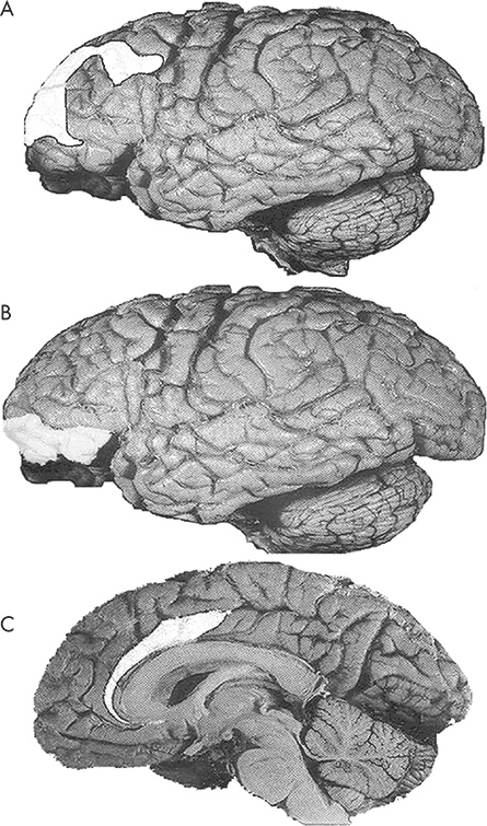 Иллюстрация к книге — Научные битвы за душу. Новейшие знания о мозге и вера в Бога [i_005.jpg]