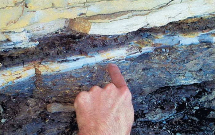 Иллюстрация к книге — Космос. Все о звездах, планетах, космических странниках [i_115.jpg]