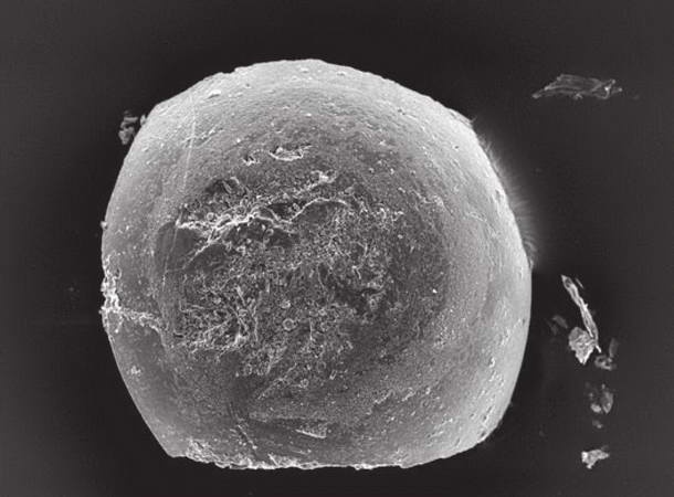 Иллюстрация к книге — Космос. Все о звездах, планетах, космических странниках [i_116.jpg]