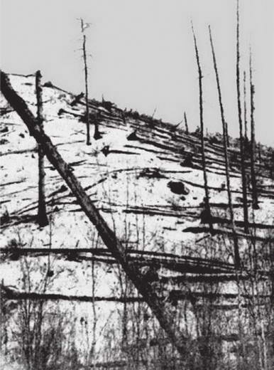 Иллюстрация к книге — Космос. Все о звездах, планетах, космических странниках [i_161.jpg]