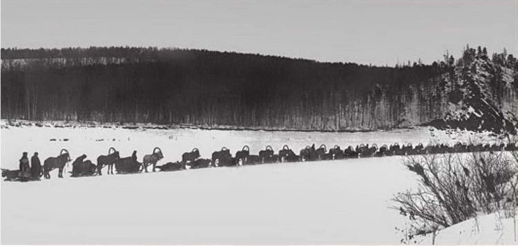 Иллюстрация к книге — Космос. Все о звездах, планетах, космических странниках [i_163.jpg]