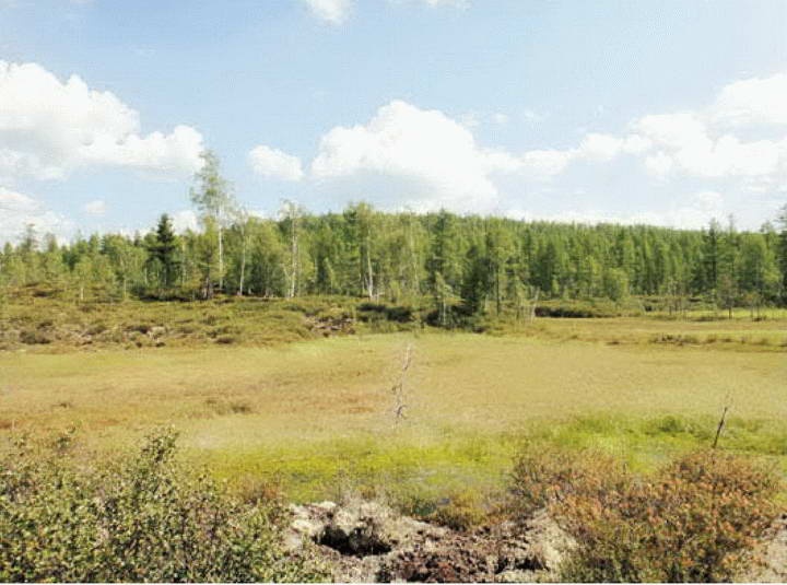 Иллюстрация к книге — Космос. Все о звездах, планетах, космических странниках [i_173.jpg]