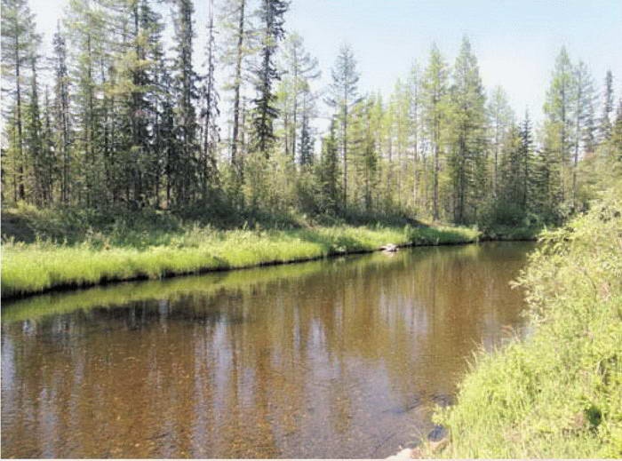 Иллюстрация к книге — Космос. Все о звездах, планетах, космических странниках [i_174.jpg]