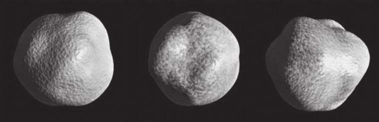 Иллюстрация к книге — Космос. Все о звездах, планетах, космических странниках [i_189.jpg]