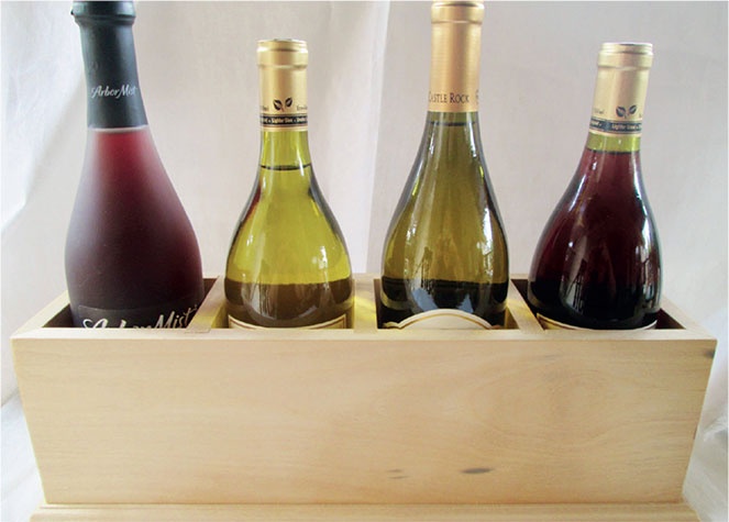 Иллюстрация к книге — Почему мы болеем? Виртуальные реальности болезней и зависимостей. Выход есть! Теория и практика [i_021.jpg]