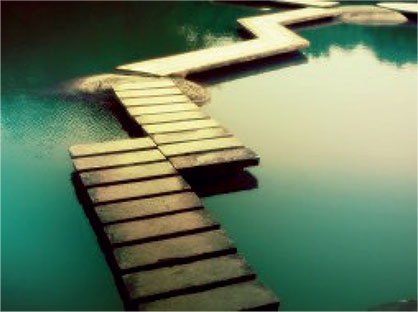 Иллюстрация к книге — Почему мы болеем? Виртуальные реальности болезней и зависимостей. Выход есть! Теория и практика [i_041.jpg]