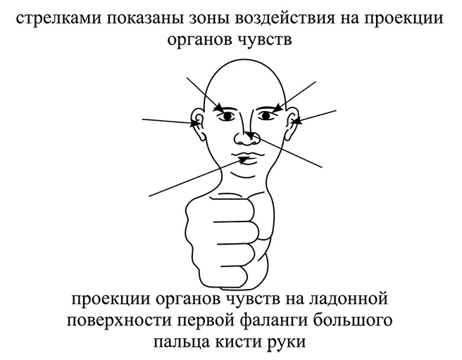 Иллюстрация к книге — Почему мы болеем? Виртуальные реальности болезней и зависимостей. Выход есть! Теория и практика [i_043.jpg]