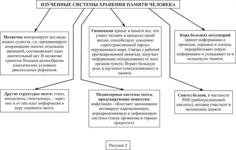 Иллюстрация к книге — Почему мы болеем? Виртуальные реальности болезней и зависимостей. Выход есть! Теория и практика [i_073.jpg]