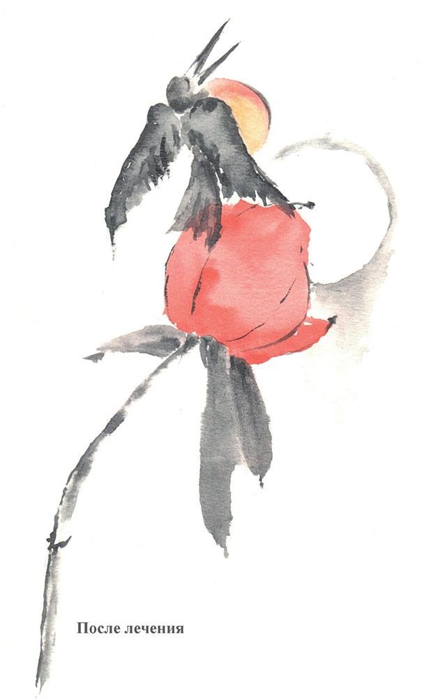 Иллюстрация к книге — Почему мы болеем? Виртуальные реальности болезней и зависимостей. Выход есть! Теория и практика [i_090.jpg]