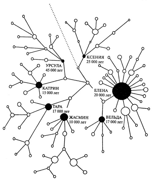 Иллюстрация к книге — Происхождение человека. Инопланетный след [autogen_ebook_id38.jpg]