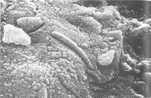 Иллюстрация к книге — Мистерия Марса [i_018.jpg]