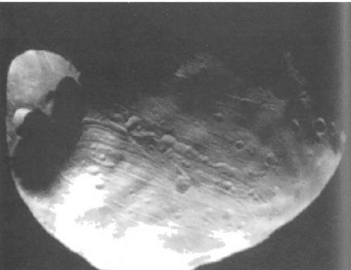 Иллюстрация к книге — Мистерия Марса [i_019.jpg]