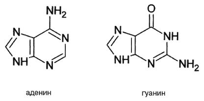 Иллюстрация к книге — Эректус бродит между нами. Покорение белой расы [dnk4.jpg]
