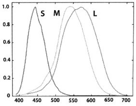 Иллюстрация к книге — Эректус бродит между нами. Покорение белой расы [p105.jpg]