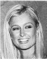 Иллюстрация к книге — Эректус бродит между нами. Покорение белой расы [p107.jpg]