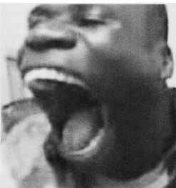 Иллюстрация к книге — Эректус бродит между нами. Покорение белой расы [p109.jpg]